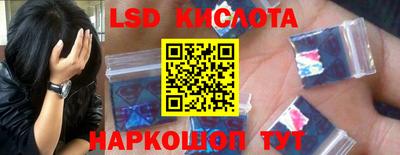 шишки Краснознаменск