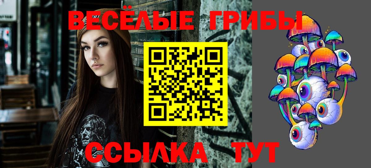 Камень-на-Оби  купить наркотик  Вход с VPN  Псилоцибиновые грибы Magic Shrooms 
