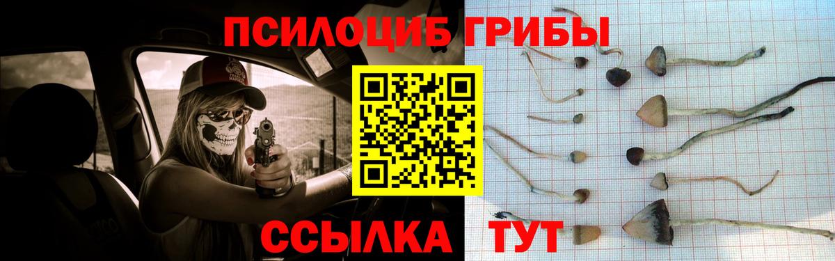 Галлюциногенные грибы GOLDEN TEACHER Камень-на-Оби